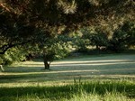 La Cure de Brandon en Bourgogne, le jardin